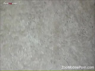 Special home zoophilia for the naked wife in cuckold scenes