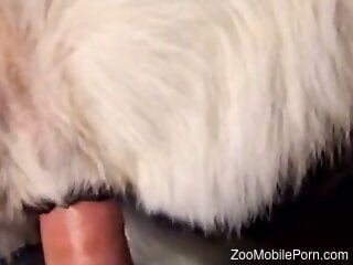 POV pussy gape scene with a well-endowed beast tamer