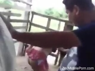 Horse cock slides into that fuckhole from behind